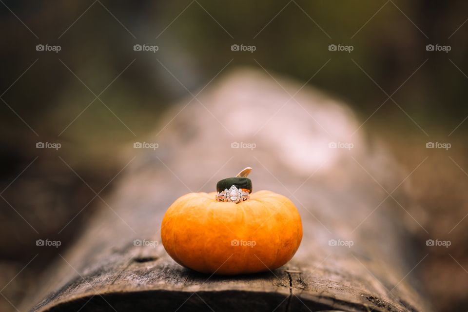 Wedding rings on pumpkin on log outdoors