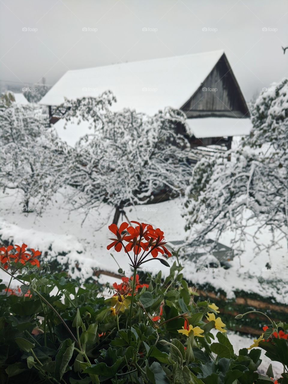 Scenic view from window to the snow covered village and house in our autumn vacation.