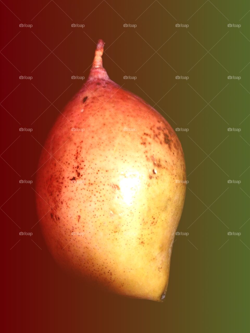 mango,indian mango,A great photo,a photo for everyone,a memorable photo,a no. photo,a photo to cherish,a beautiful photo,a great photo for the best people,an evergreen photo,a photo to remember for years,the best result of great photography