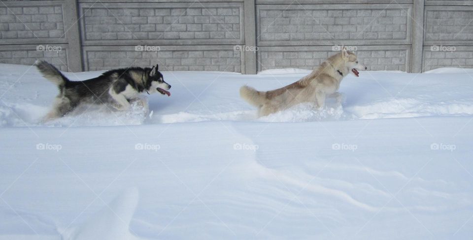 You will not catch up with me )