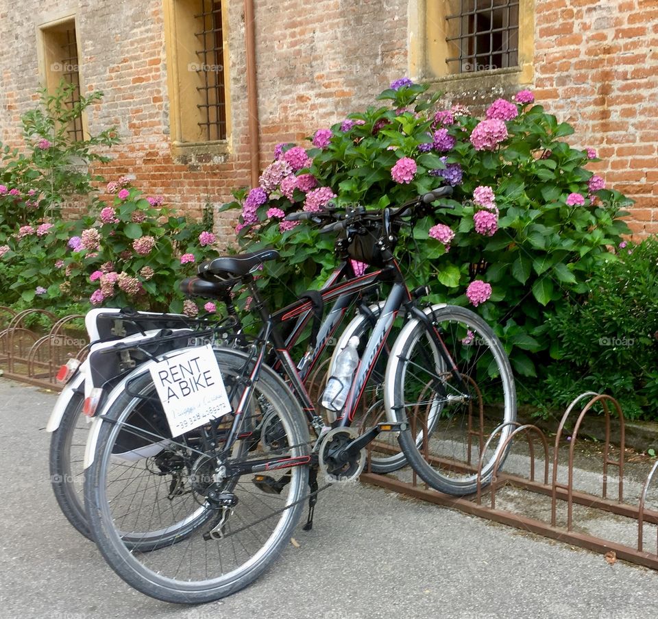 We like to ride our bicycles!