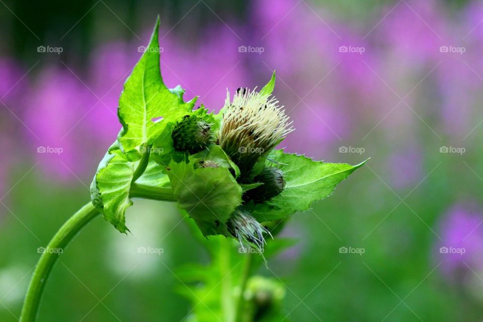 Not that beautiful...