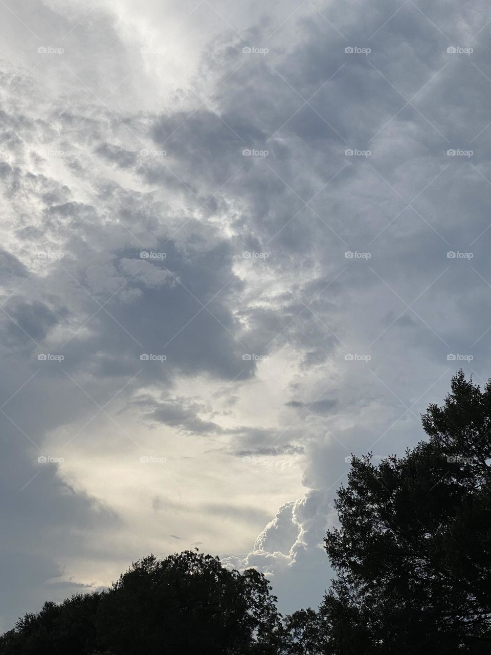 Before the rain comes 