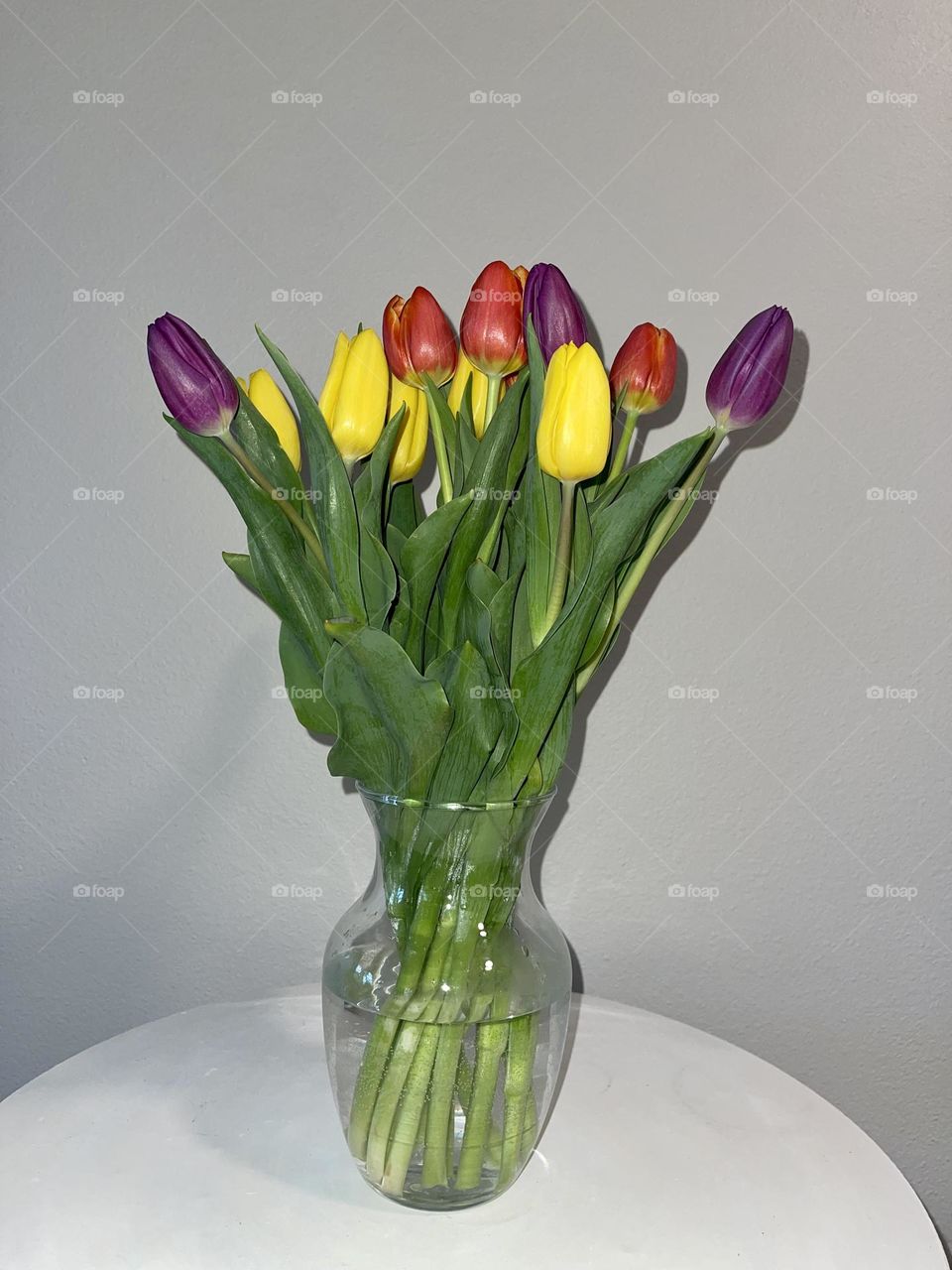 Colourful tulips in the glass vase 