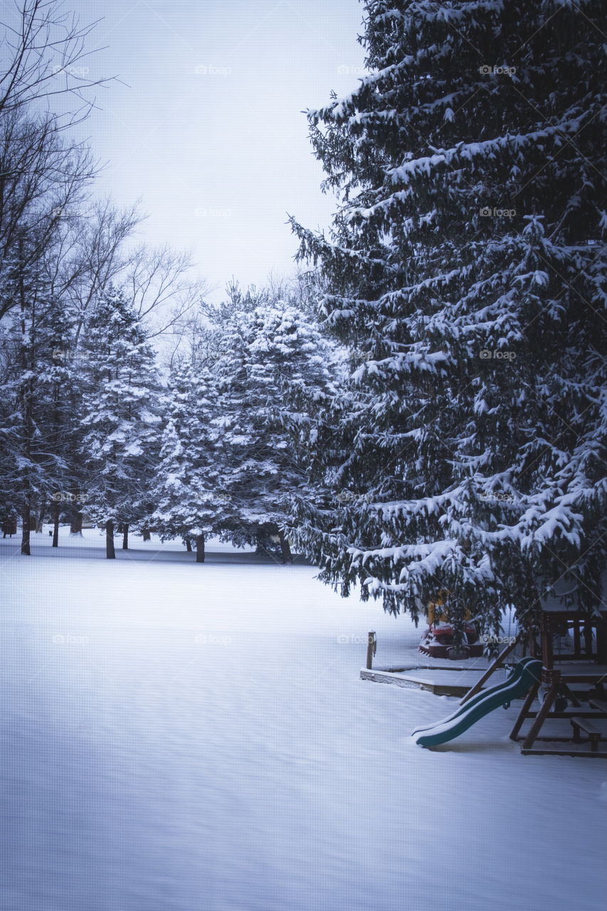 A backyard. Full of snow and ready for play. 