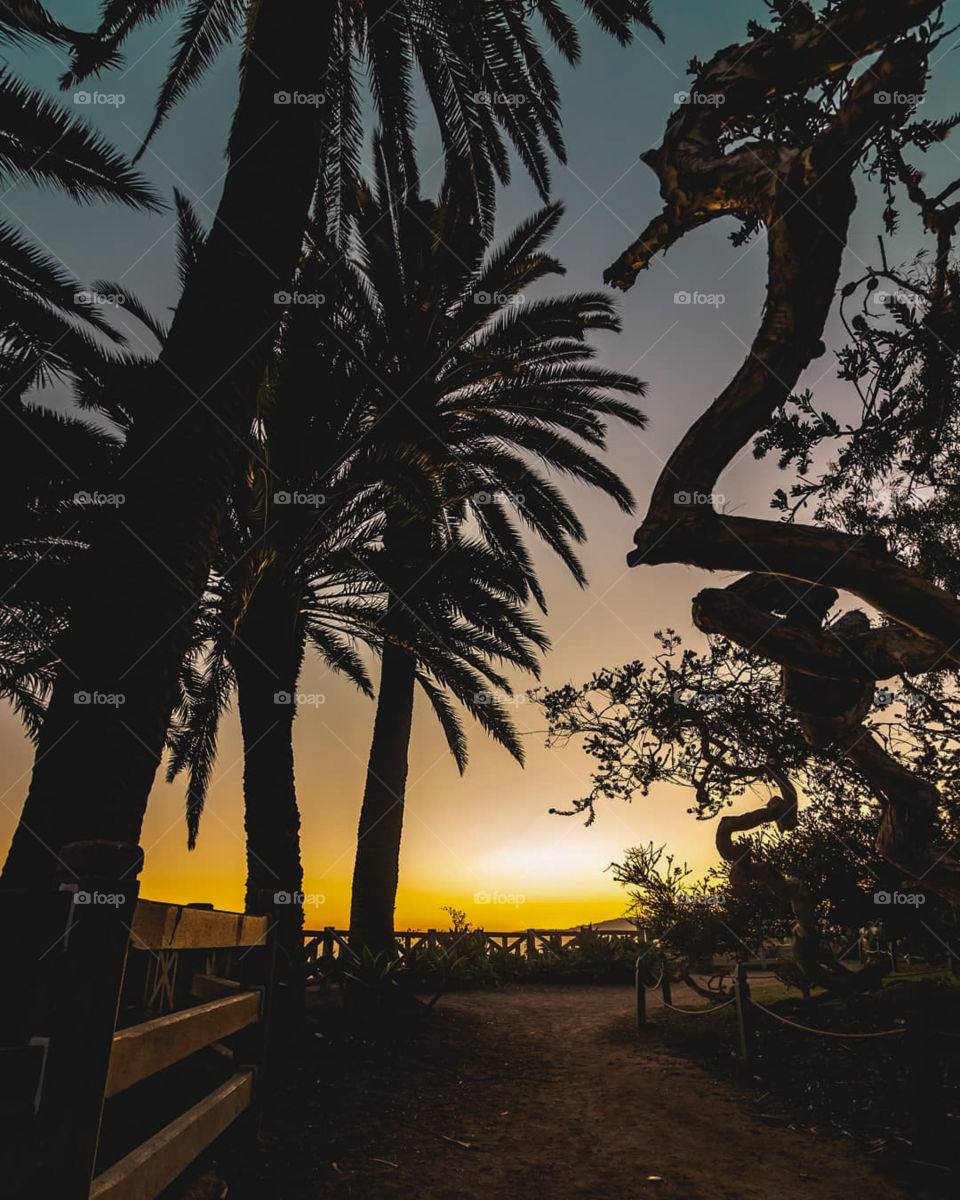 Awesome silhouette play.