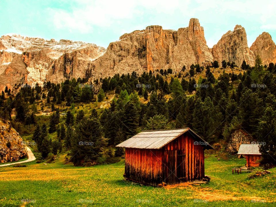 Golden hued Dolomite mountains in the background with green meadow with yellow flowers and a wooden mountain hut in the foreground