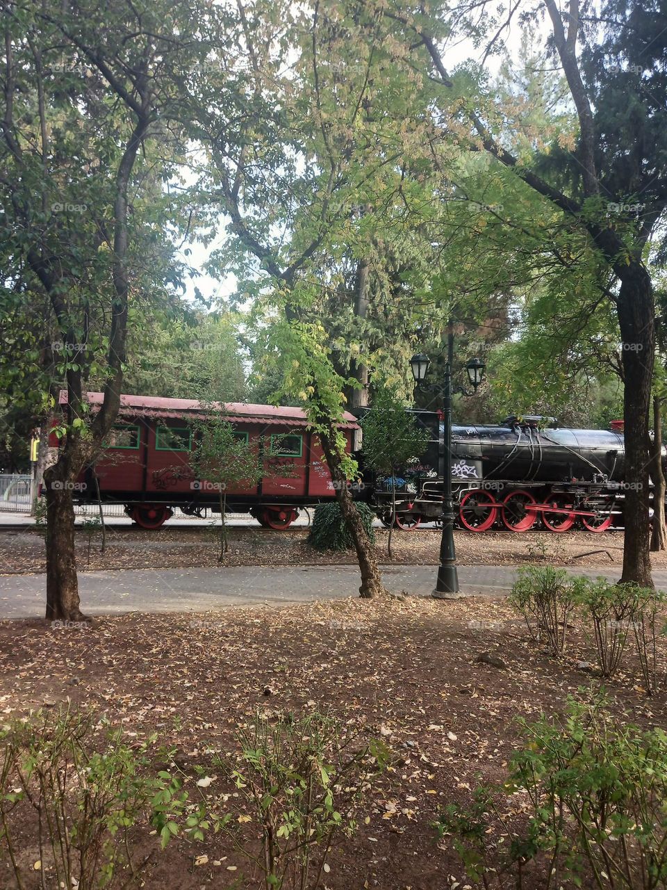 Train ..in the park