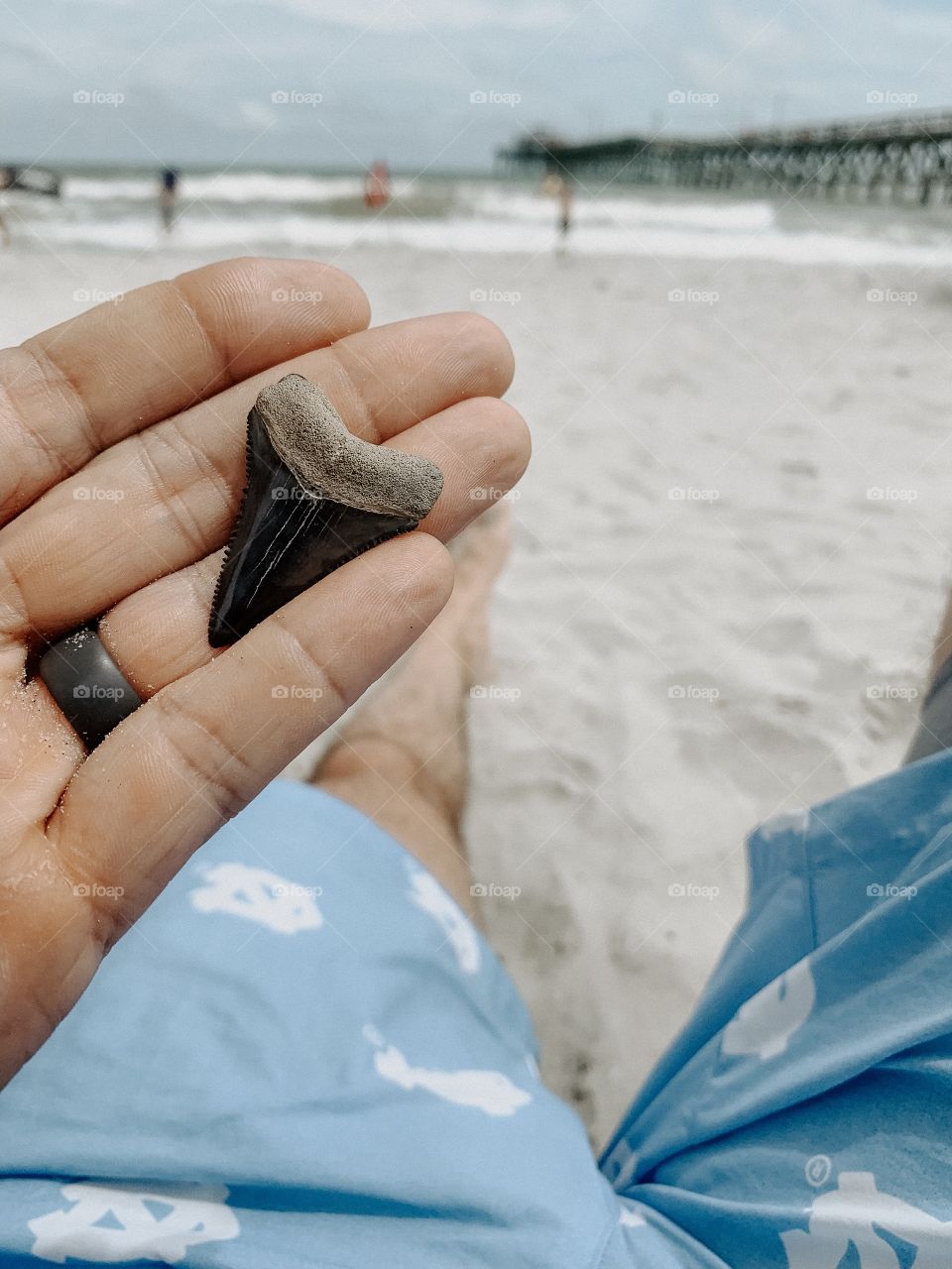 Great white shark tooth at Myrtle beach