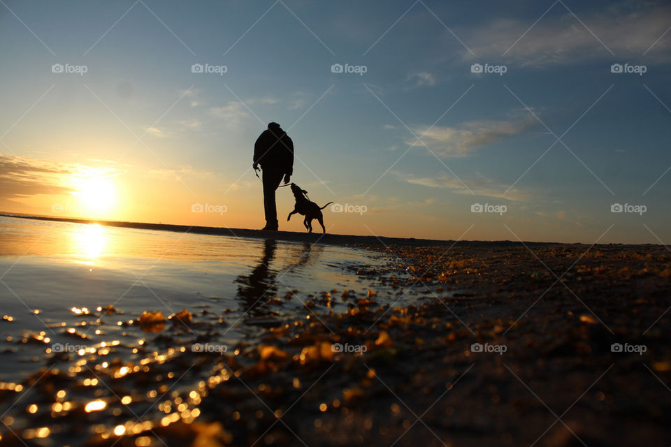Silhouette of person with dog at beach