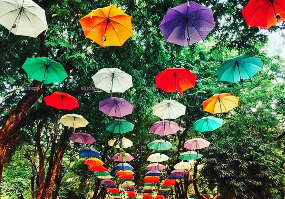 to this day seeing the beauty of the colorful umbrellas,