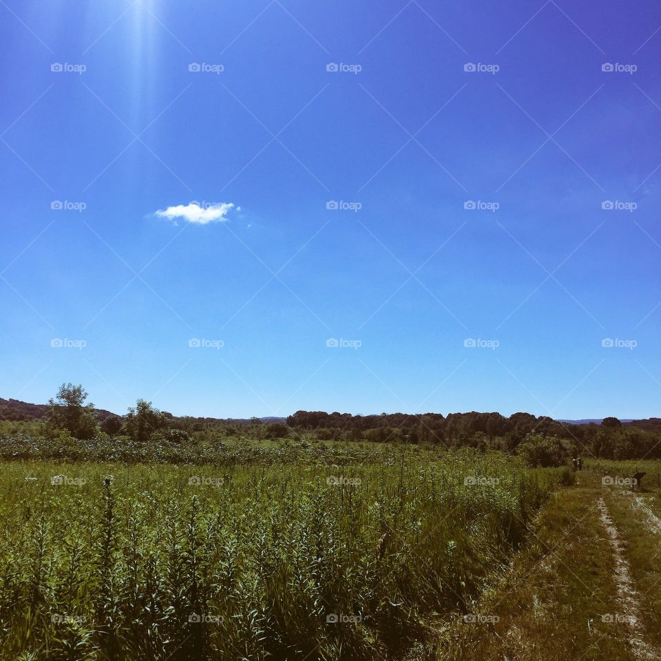 8 miles through this meadow in the heat was no fun. 