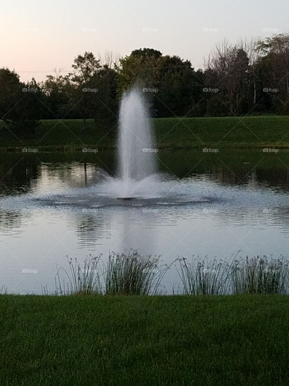 Fountain at the Pond