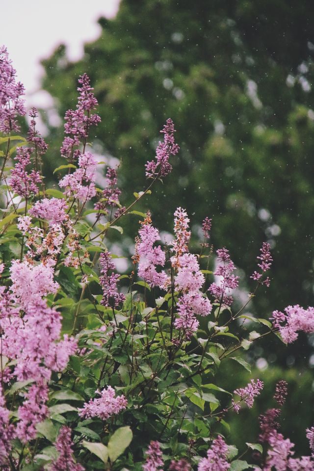 Raining