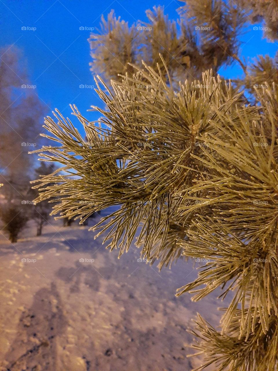 зимний пейзаж