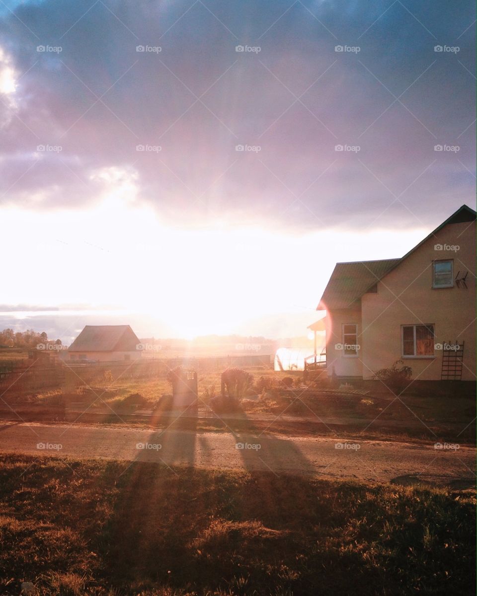 Sunny morning 