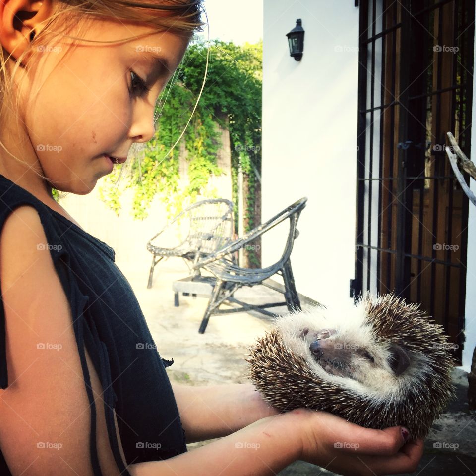 Girl holding hedgehog