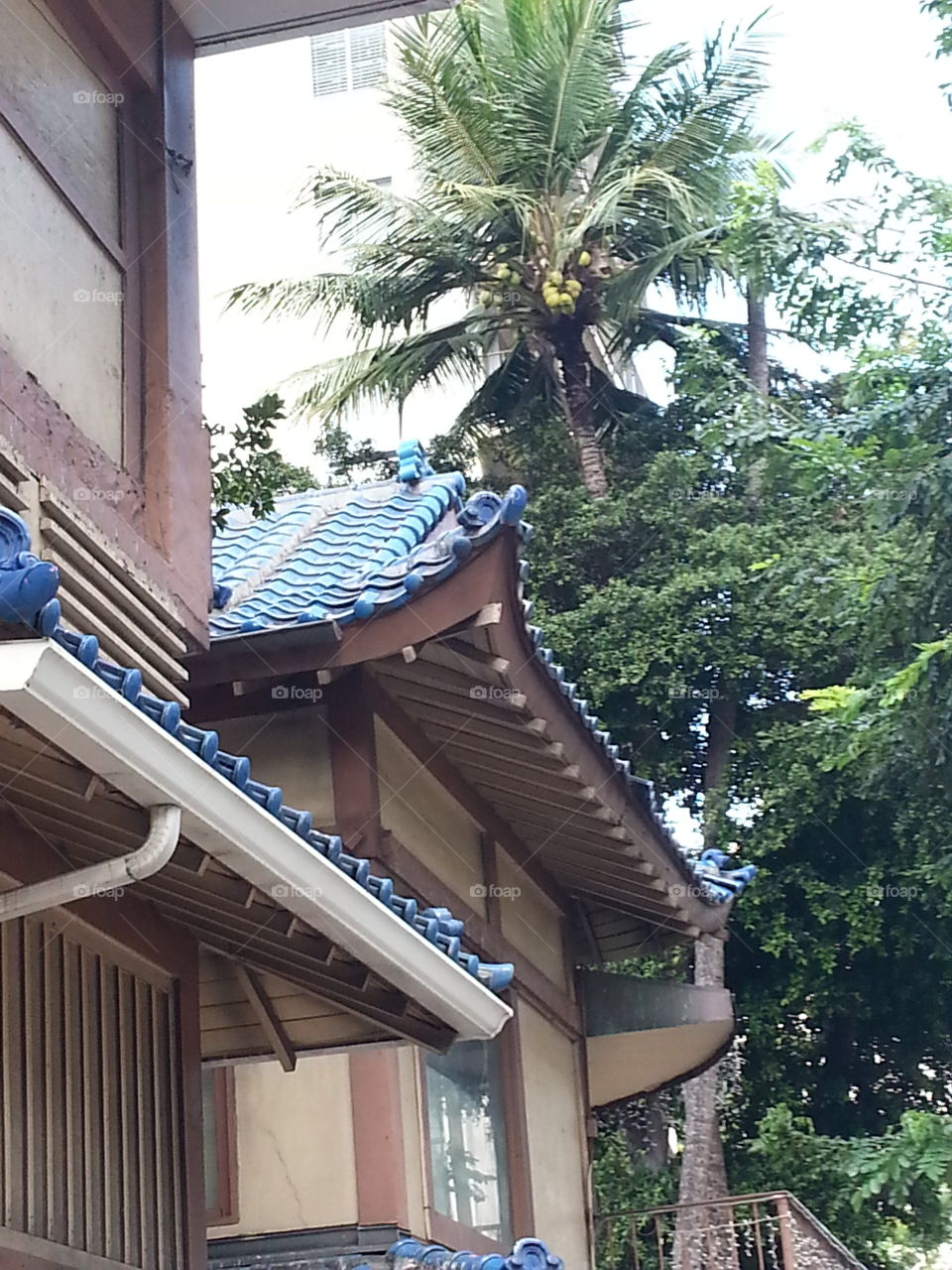 House, Architecture, No Person, Building, Wood