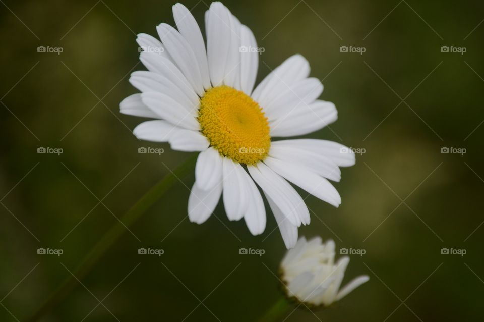 A mothers love. 💚💛💚