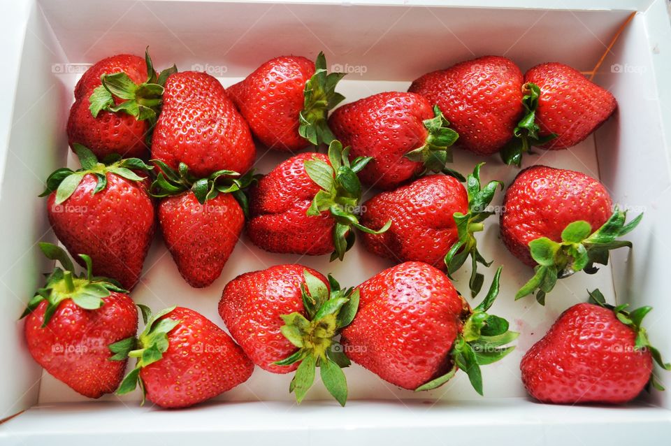 The citrus fruits . The citrus fruits 