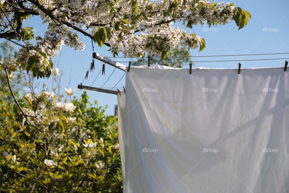 Wet laundry in the garden