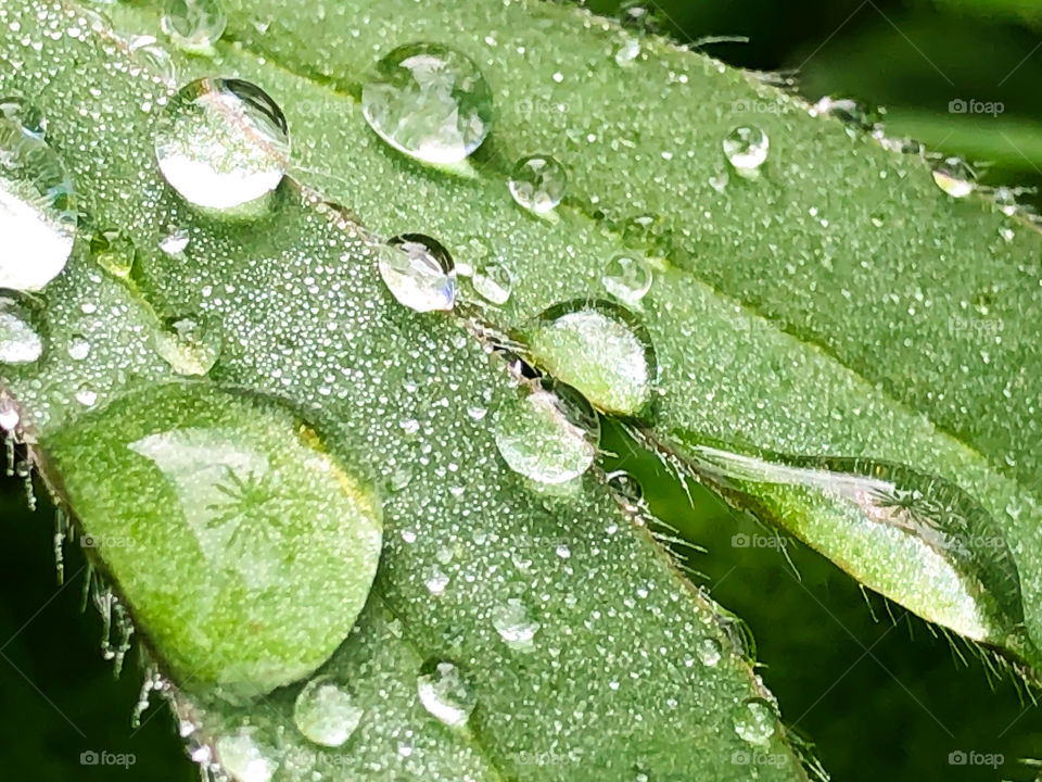 Water drops