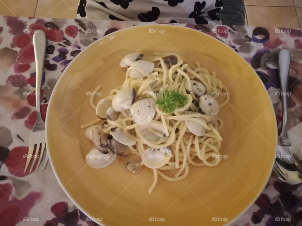 Spagetii Shell so Nice