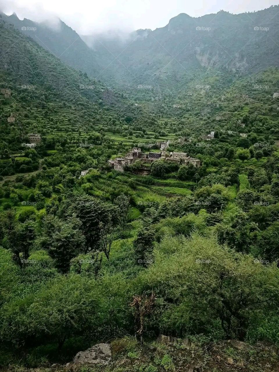 Glory be to God, the magnificent and picturesque view and the natural green trees are a view that is nothing more wonderful than it