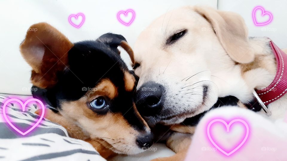 💕💕True Love 💕💕