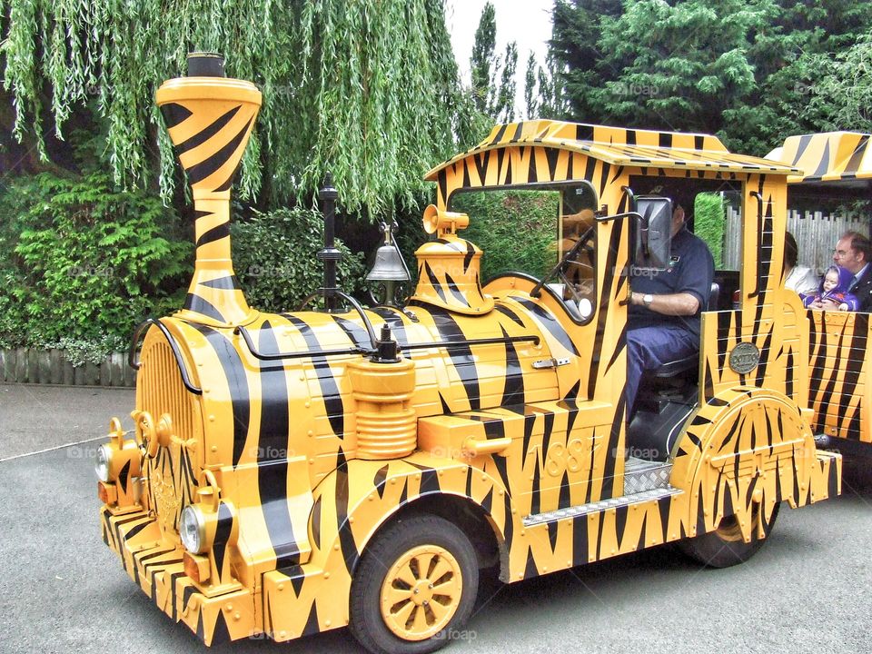Tiger printed train