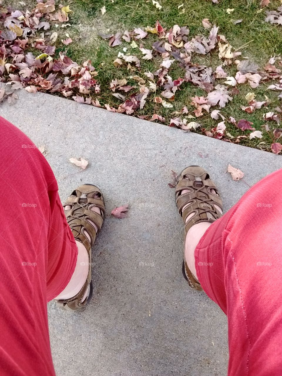 sandals and leaves