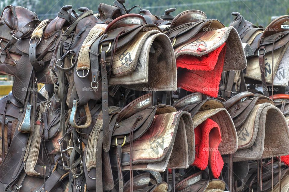 Saddles