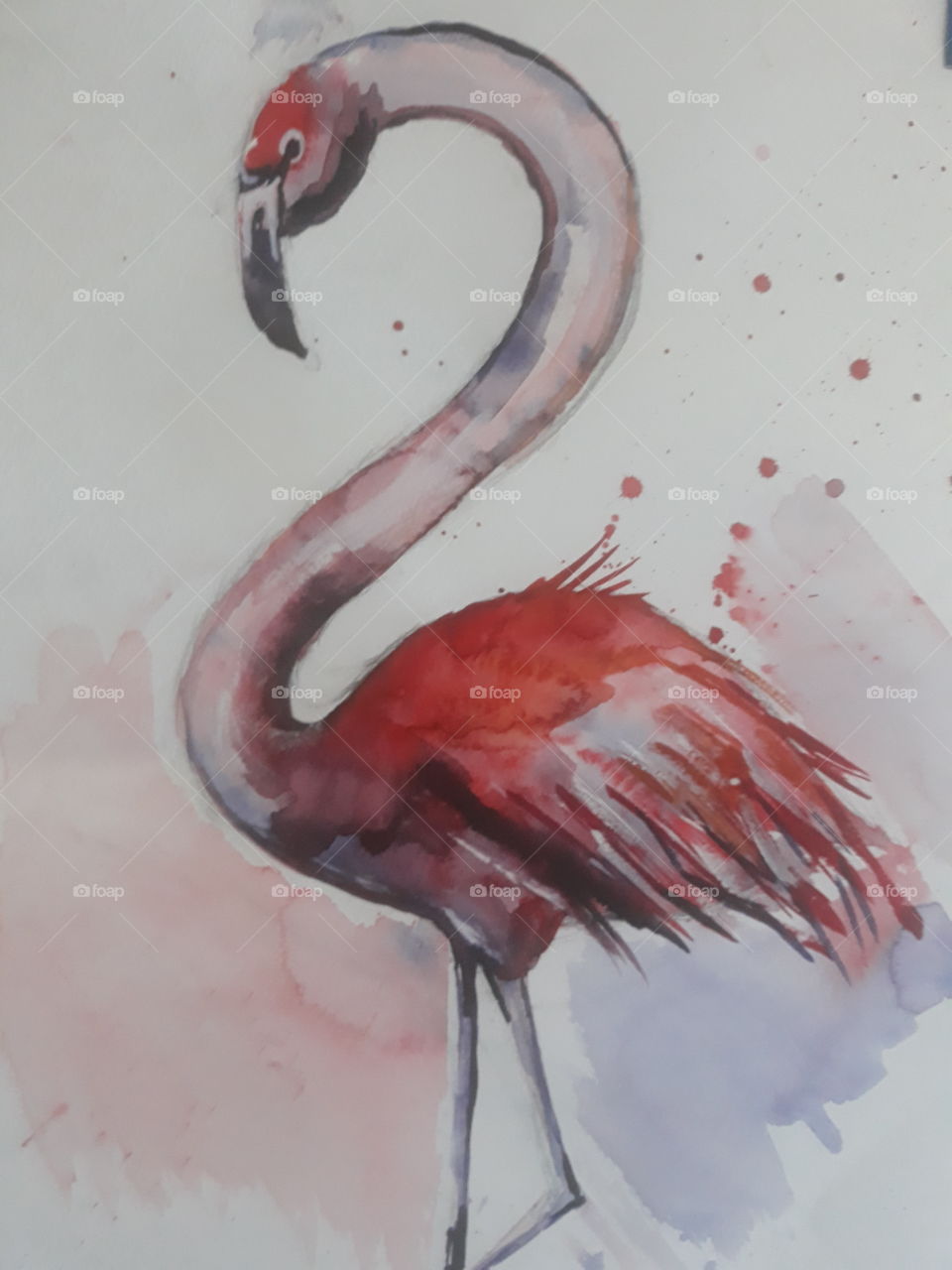 flamingo