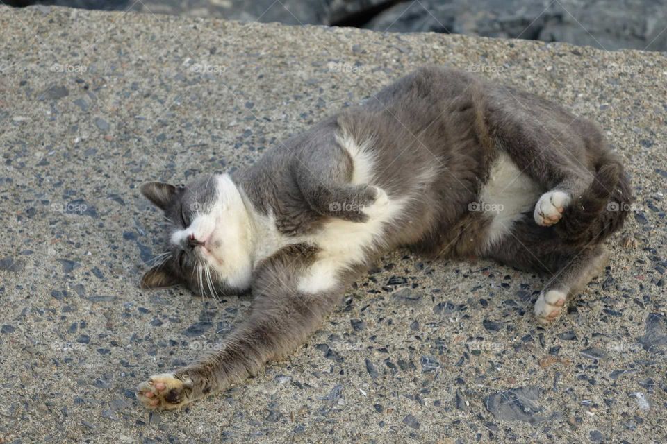 to sleep or not to sleep