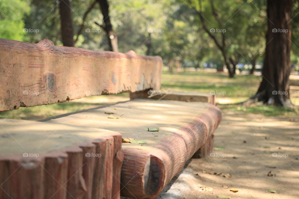 bench in the park