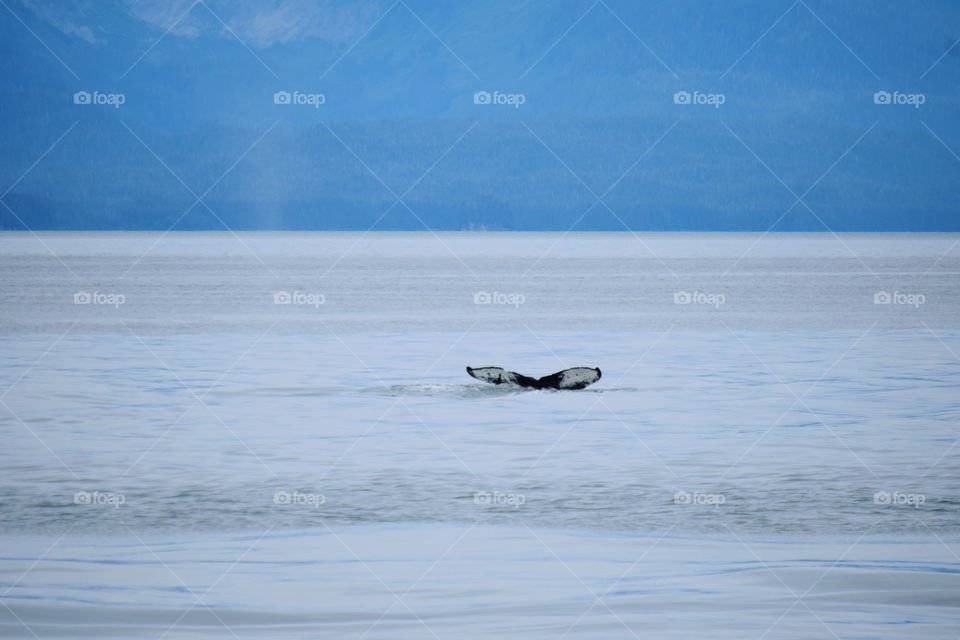 Water, Sea, Ocean, Beach, Winter