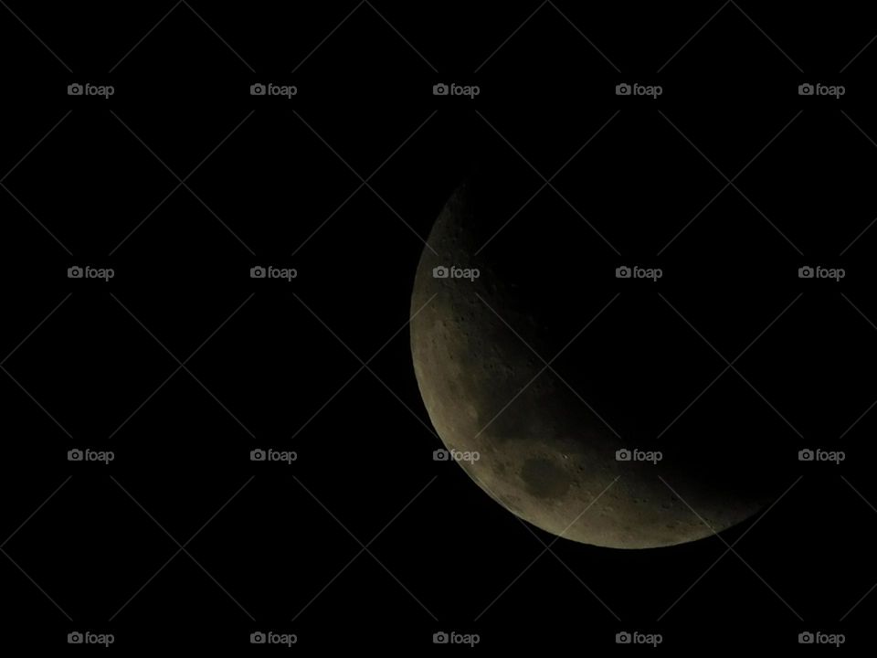 quarter moon in the night sky