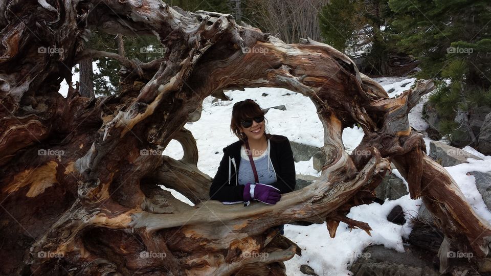 Girl looking through a hole in a fallen tree