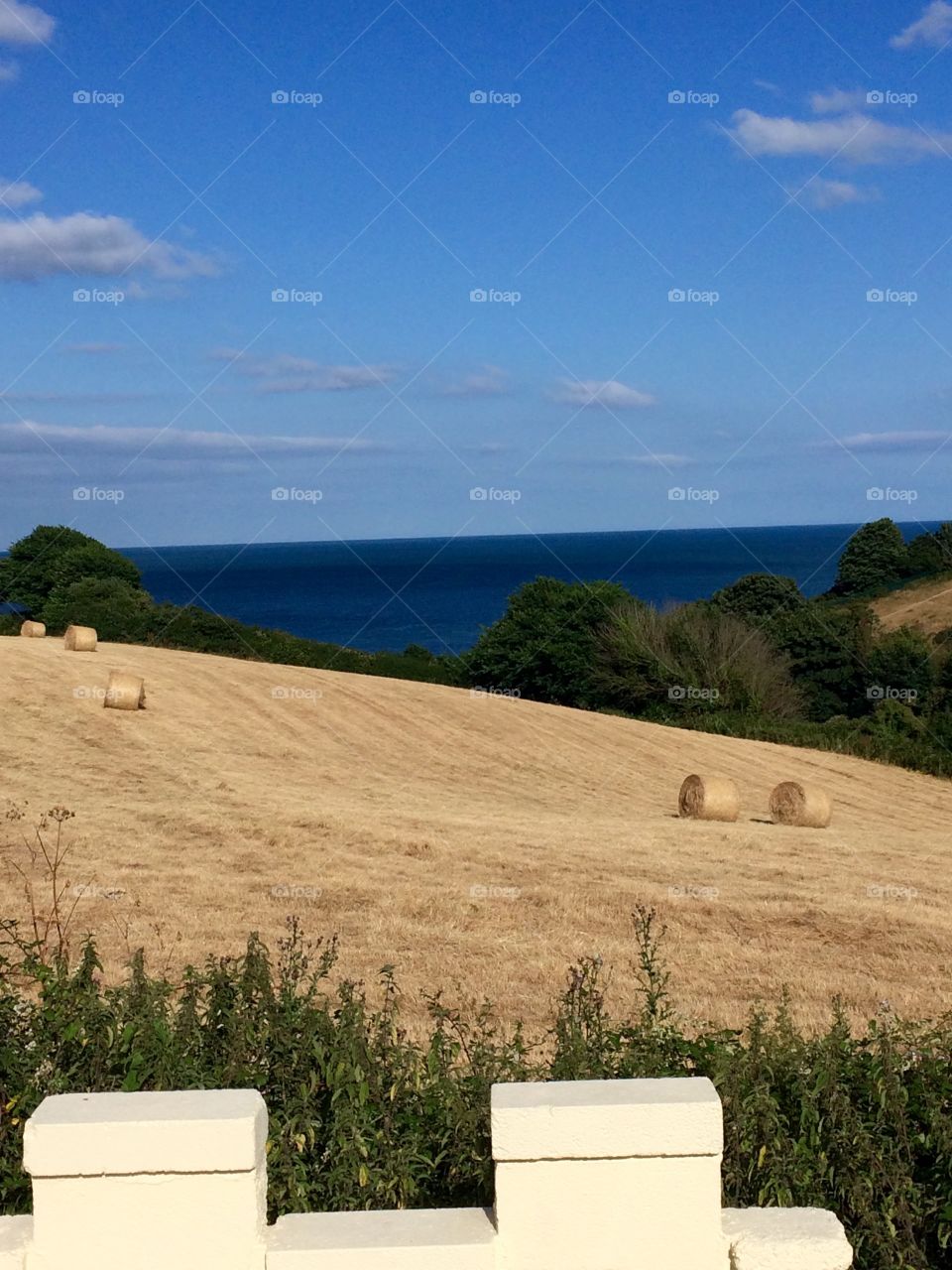 Blue sky, blue sea and a sea full of hay rolls. Very blue sea, Devon uk. Show me the beach. 