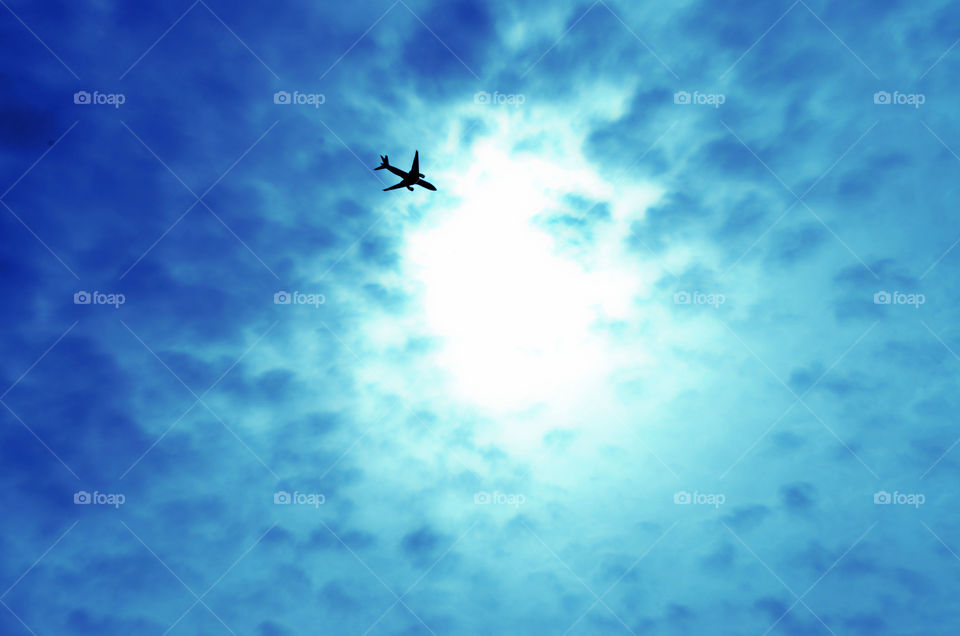 Plane in the Sky