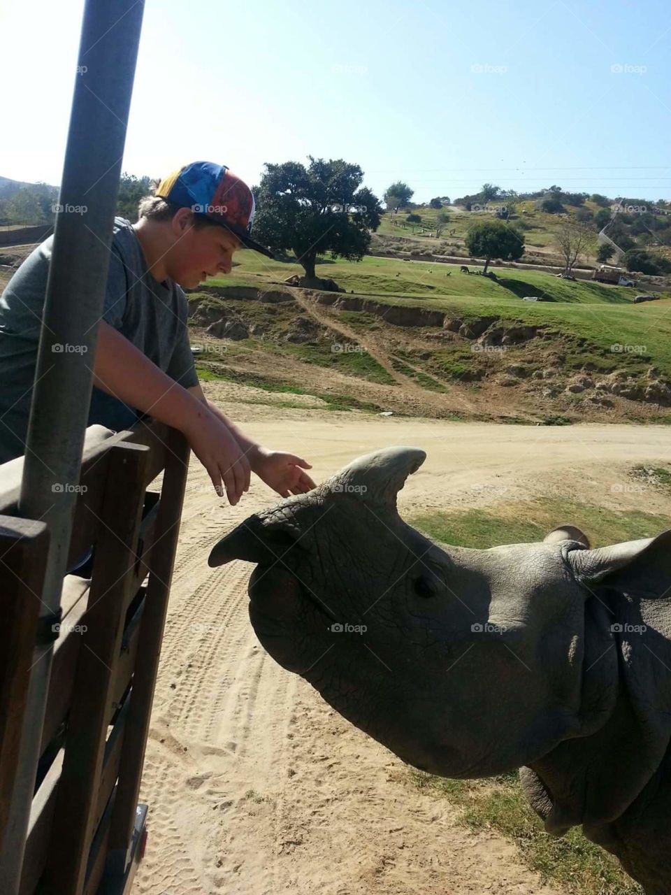 Shane and the rhino family vacation