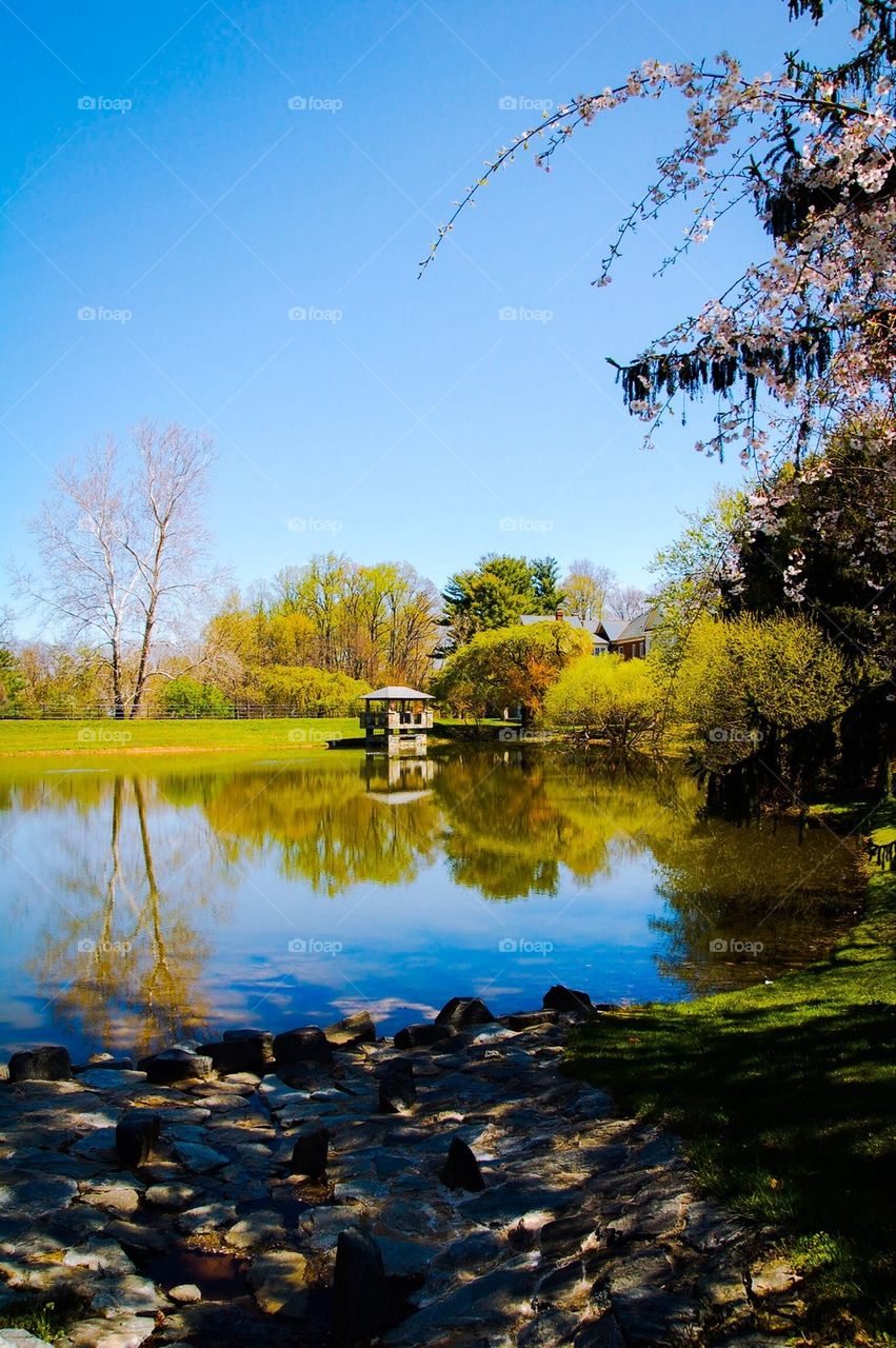 Evan's Farm Pond