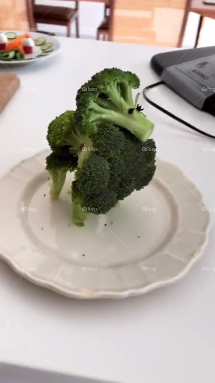 Broccoli dog