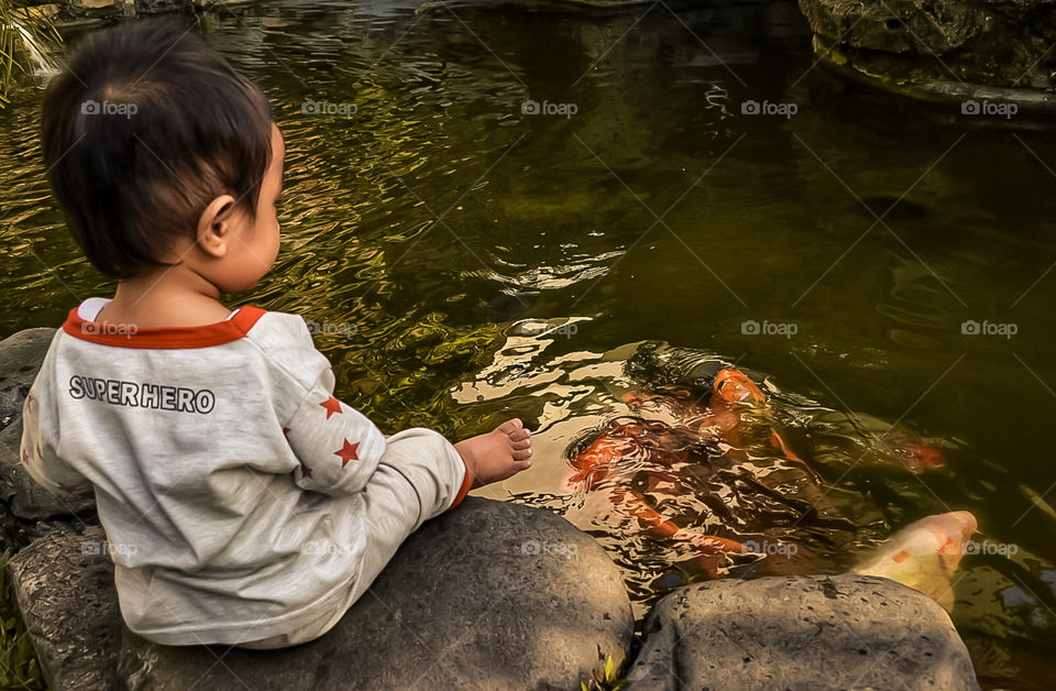 playing with the koi