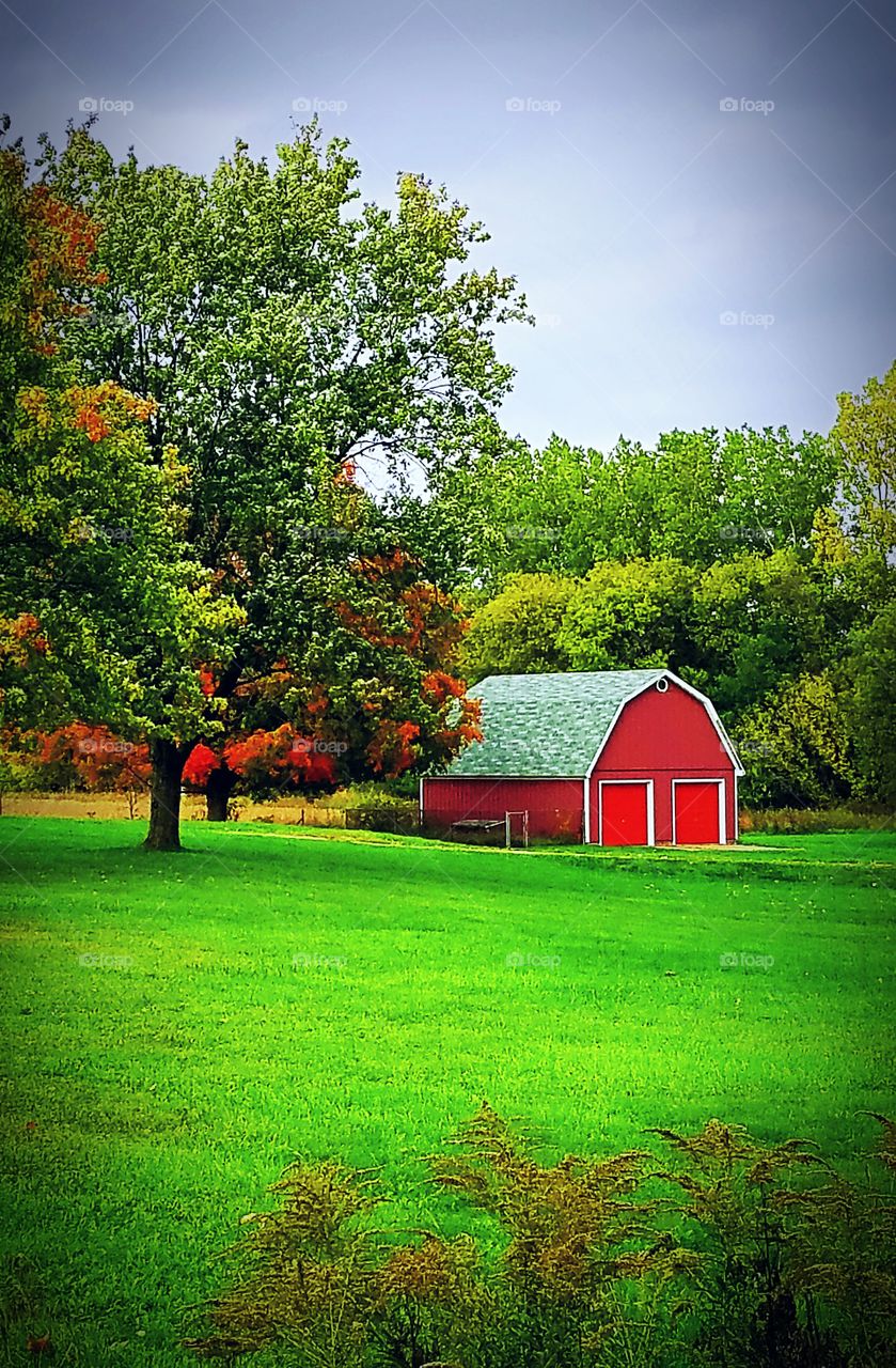 Back Yard Barn