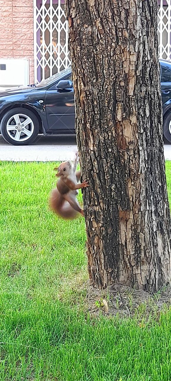vacaciones en la ciudad