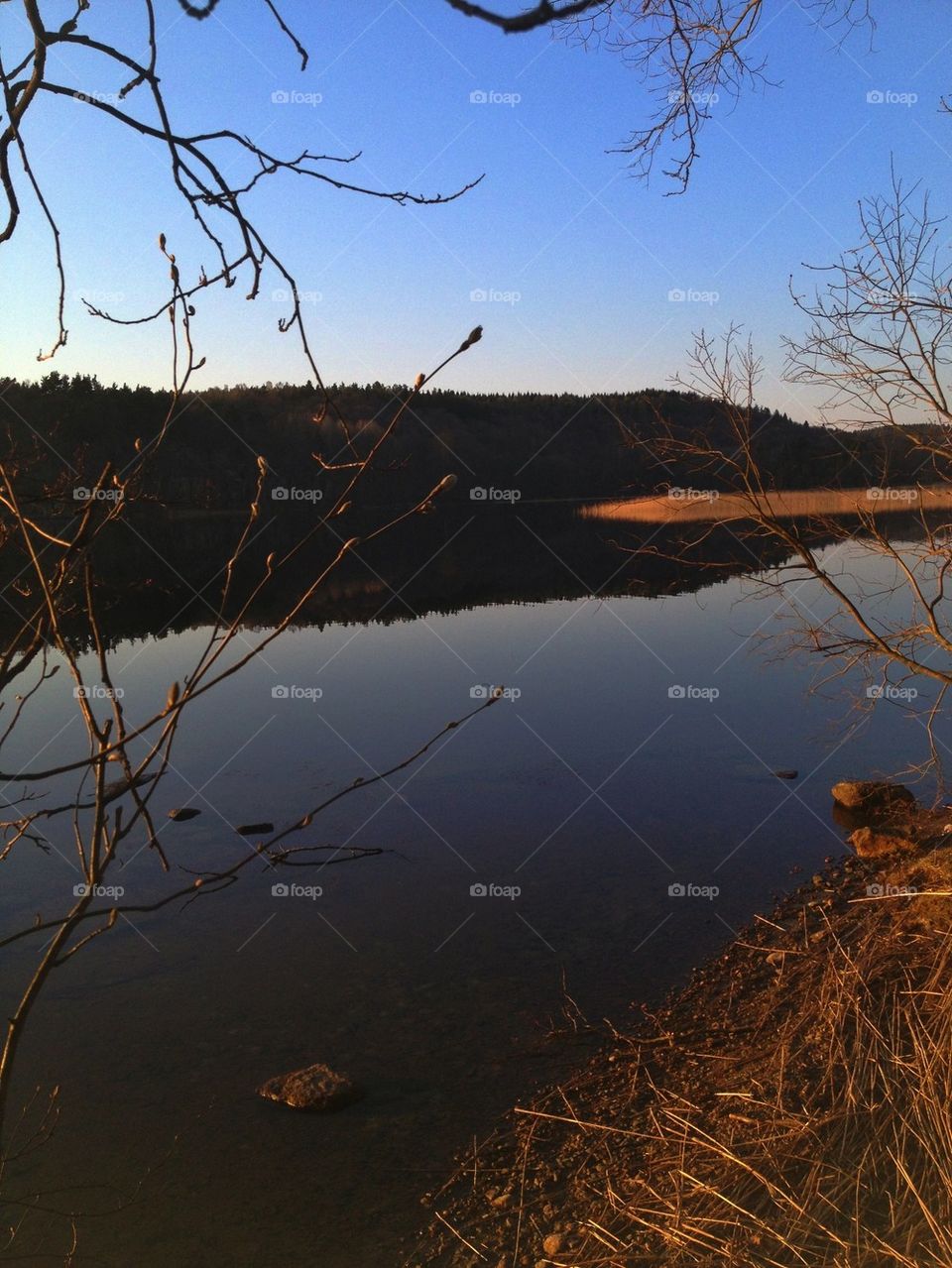 Idyllic lake