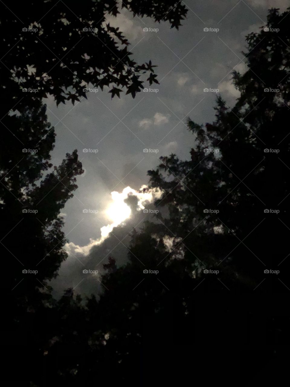 Moon shining behind cloud