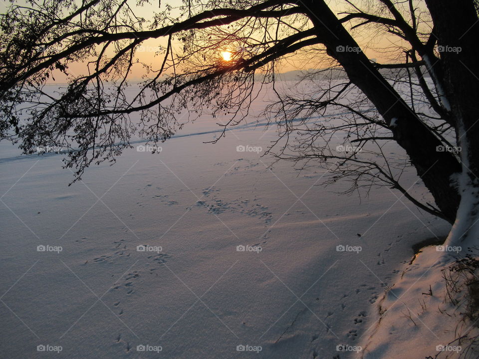 sunset in the cold winter