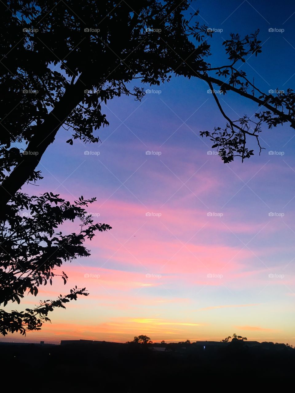 Como o dia está ainda escuro, compartilhando um céu iluminado para que nosso descanso seja mais prazeroso!
☀️
#paisagem #landscapes #sol #céu #Jundiaí #Brasil #prédios #amanhecer #nuvens #silhueta 